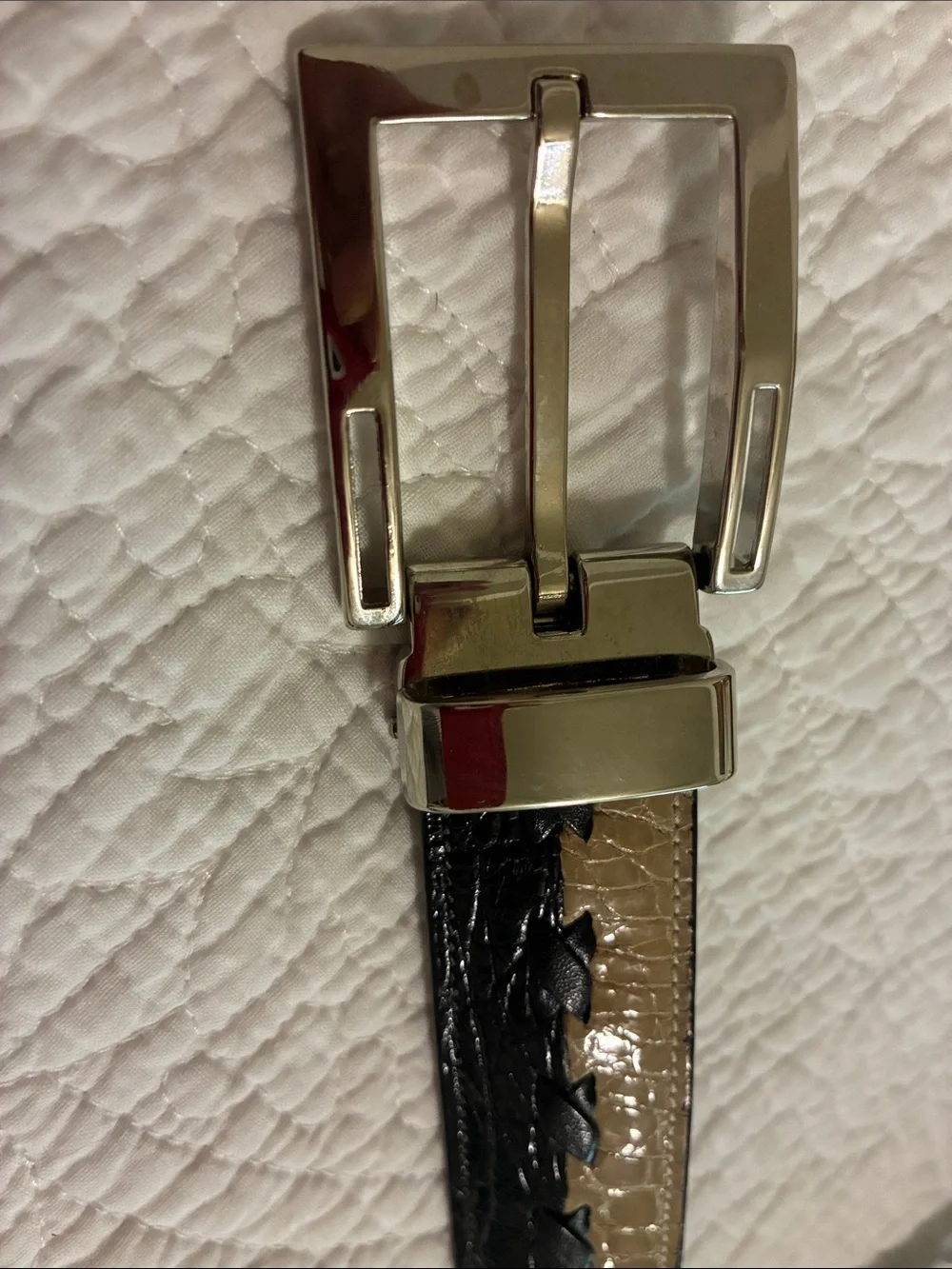 Genuine crocodile two tone belt, buckle made in Italy